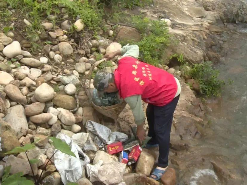 云物凄凉拂曙流是什么生肖,警惕虚假宣传-全面释义、解释与落实、构建解答解释落实